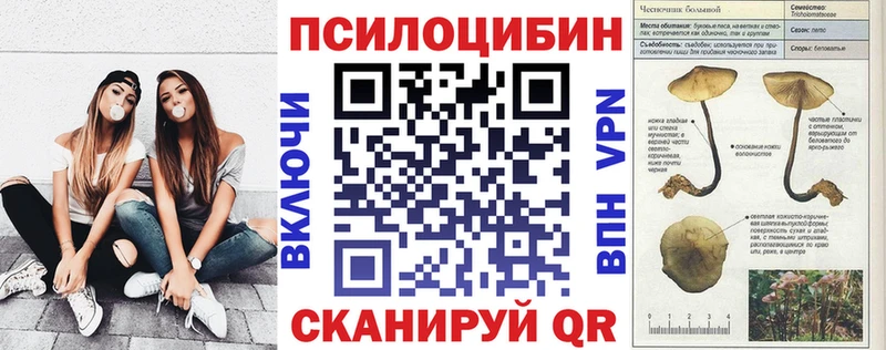 кракен   Дивногорск  Псилоцибиновые грибы ЛСД  где купить  