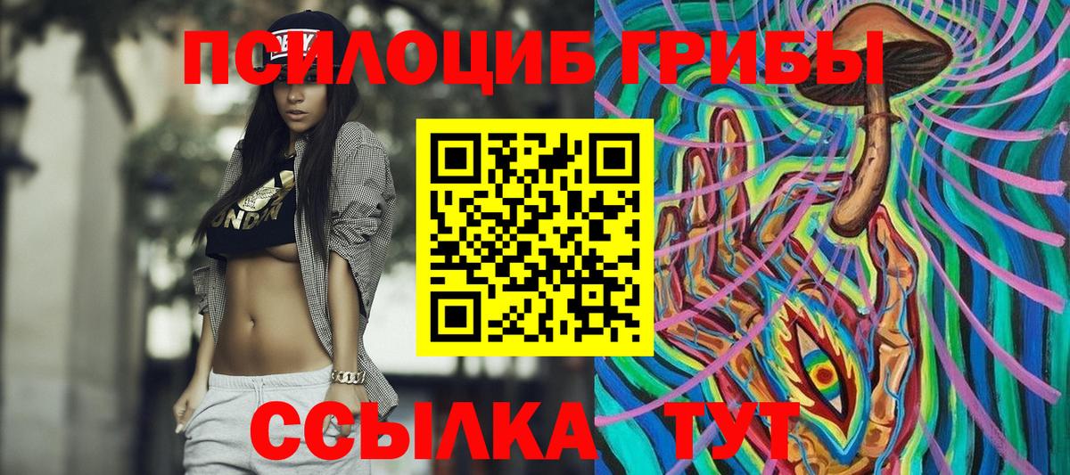Псилоцибиновые грибы Cubensis Дивногорск