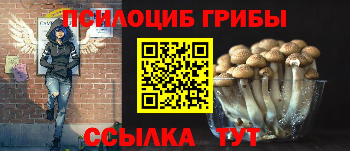 Псилоцибиновые грибы Cubensis  Вход с VPN  Дивногорск  Галлюциногенные грибы прущие грибы 
